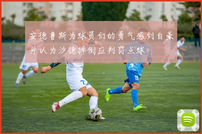 安德鲁斯为球员们的勇气感到自豪并认为沙德摔倒应判罚点球